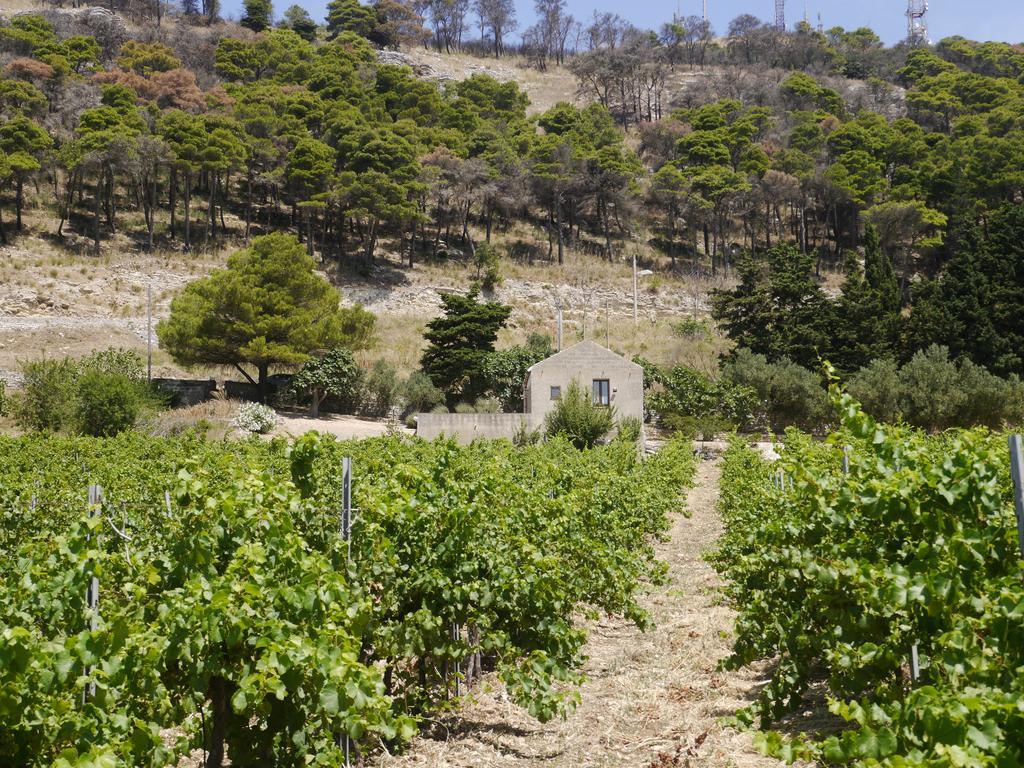 Casa Nel Vigneto Ericeゲストハウス エクステリア 写真