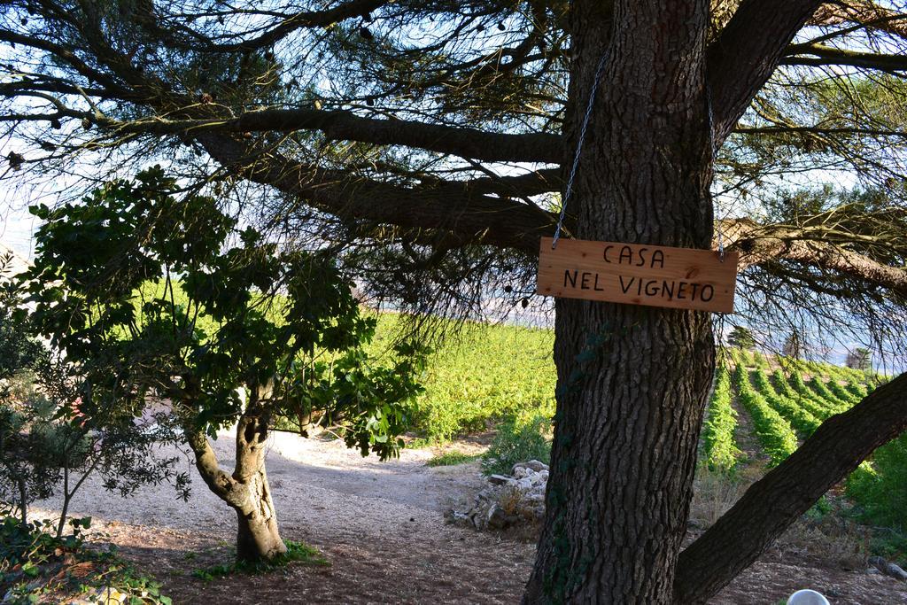 Casa Nel Vigneto Ericeゲストハウス エクステリア 写真