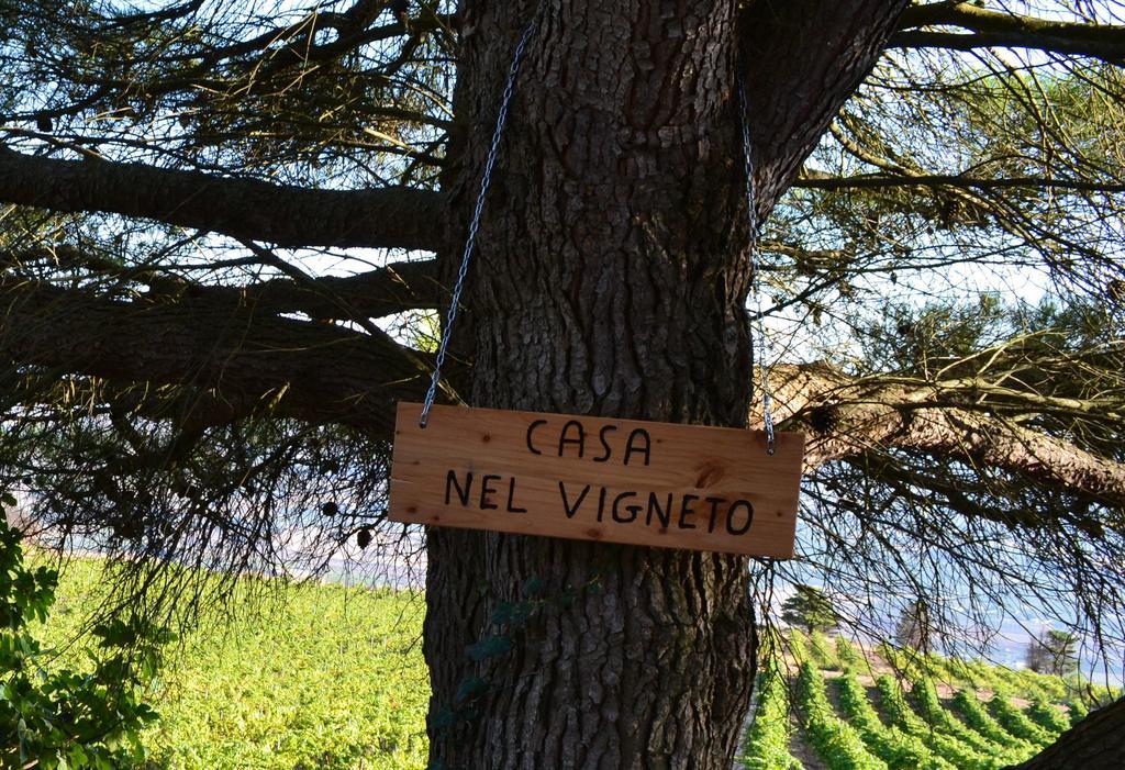 Casa Nel Vigneto Ericeゲストハウス エクステリア 写真